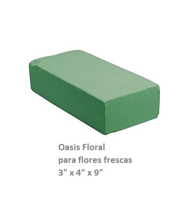 Oasis (Esponja Floral)